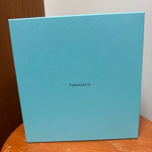 Tiffany & Co. Wine Glasses Crystal Set of 2 in Box 9" Tall Brand New